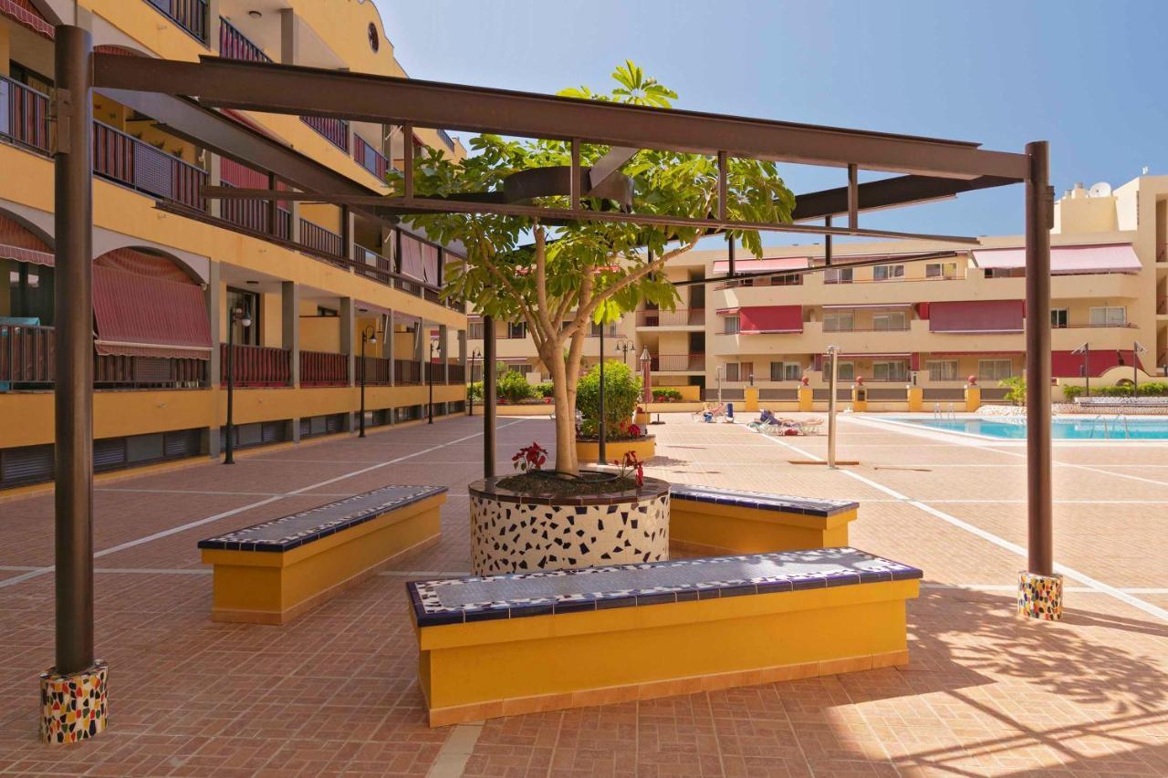 Centrico Primera Linea Del Mar Puerto de Santiago (Tenerife) Exterior foto